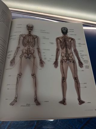 Anatomía para el artista, Blume 2003, Sarah Simblet