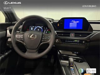 LEXUS UX +
