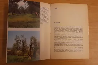 2 Libri Vintage Anni '70 Agricoltura Natale