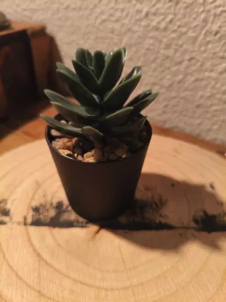 Planta Suculenta Artificial Decorativa