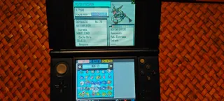 🇪🇦 ORIGINAL Pokedex Shiny Pokémon Negra 2