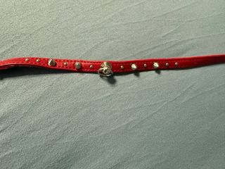 Collare rosso con borchie e anello