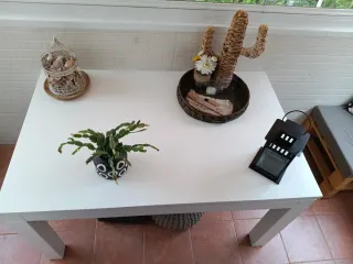 MESA COMEDOR-SALON EXTENSIBLE.