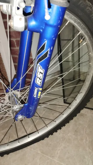 Bicicleta de Montaña Lone Trotter