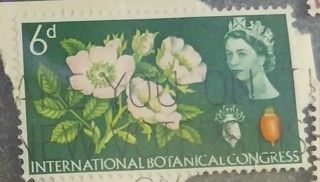 32 Francobolli Inghilterra dal 1952 al 1968