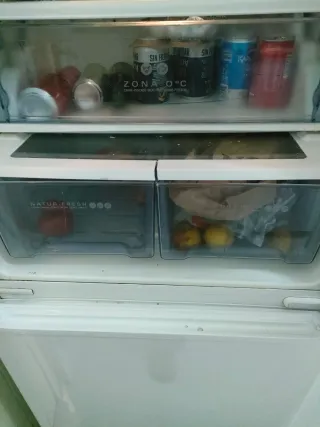 Frigorifero Edesa Combi con 3 cassetti