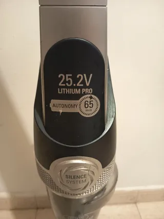 Aspiradora Rowenta Air Force 24V