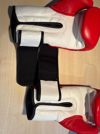 Guantes de Boxeo 10oz Morales BoxCharllie