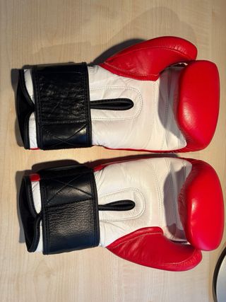 Guantes de Boxeo 10oz Morales BoxCharllie