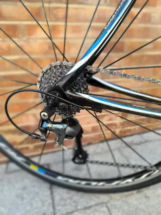 Cannondale Synapse Carbono Bicicleta