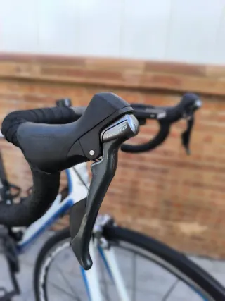 Cannondale Synapse Carbono Bicicleta