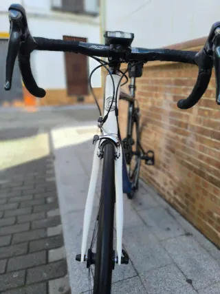 Cannondale Synapse Carbono Bicicleta