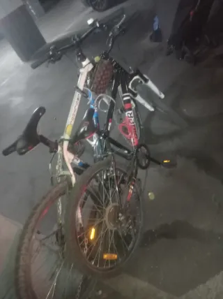 Bicicleta de montaña Vicis