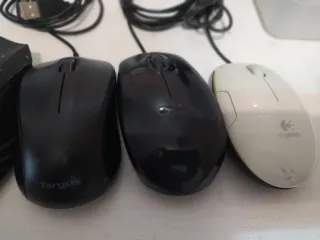 Lote 6 Ratones PC (Negro y Blanco)