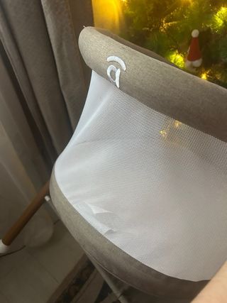 Minicuna Nidus Asalvo