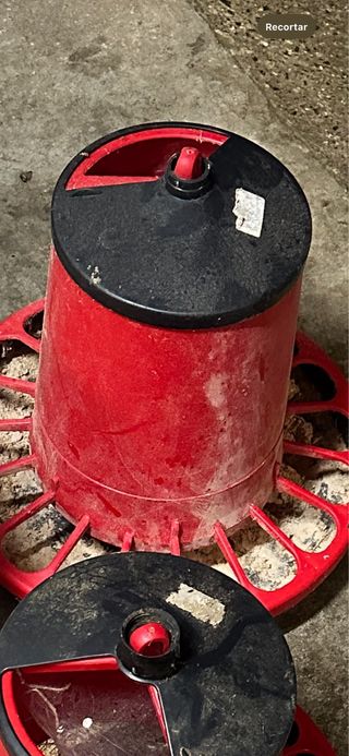 Mangiatoia per animali