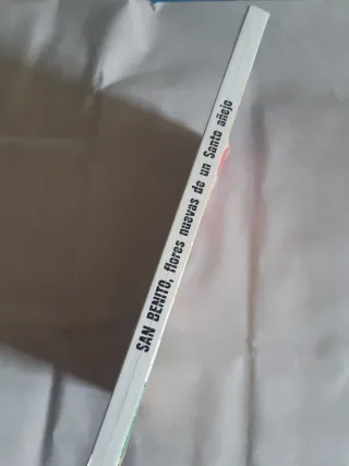 SAN BENITO. FLORES NUEVAS DE UN SANTO AÑEJO.