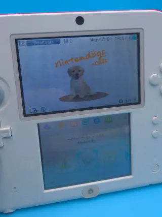 Super Mario 3D Land + Nintendogs + Cats 3DS