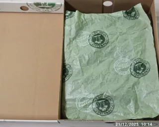 Stivali Panamá Jack Goretex Taglia 42 Marrone