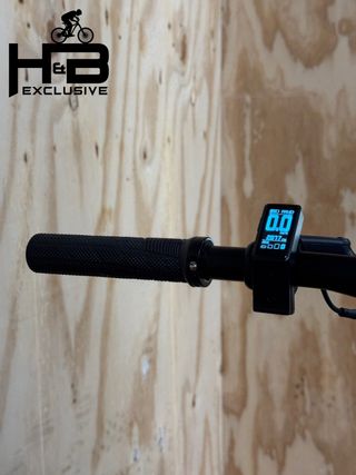 Tenways CGO600 Single-Speed 2023