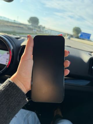 iPhone 13 Pro Max Verde 128GB