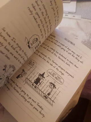 Diary of a Wimpy Kid, a Novel in Cartoons