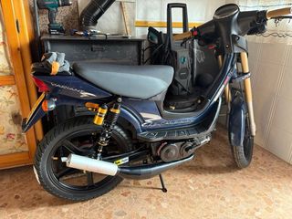 Derbi Variant revolution