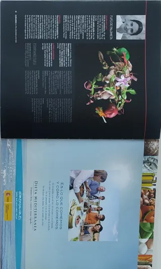 Revista Madrid Fusión 2012 X edición