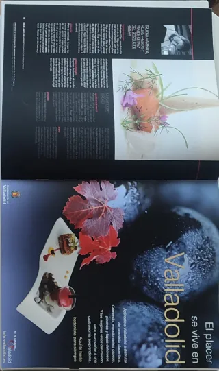 Revista Madrid Fusión 2012 X edición