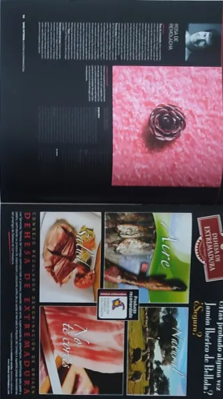 Revista Madrid Fusión 2012 X edición