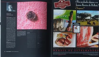 Revista Madrid Fusión 2012 X edición