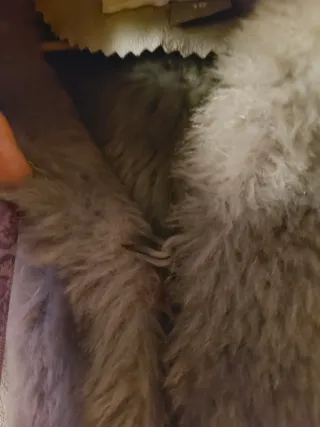 Abrigo niña T 10 Freestyle El corte inglés