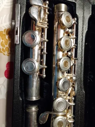 Flauta Travesera Infantil + Funda y Libro