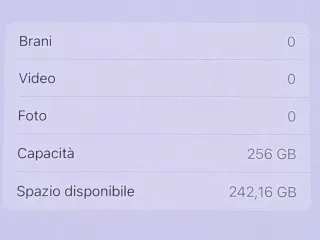 iPhone 12 Pro 256 GB Grafite