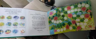 TIRA EL DADO EN... EL BOSQUE ENCANTADO