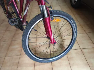 Bicicleta con portaequipajes