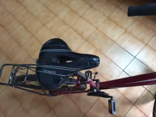 Bicicleta con portaequipajes