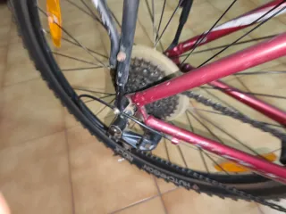 Bicicleta con portaequipajes
