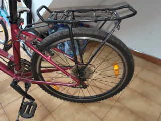 Bicicleta con portaequipajes