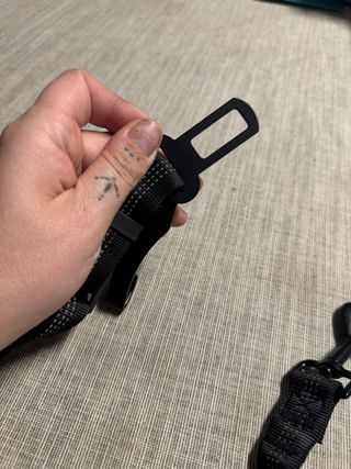 cinturón elástico de coche para perro