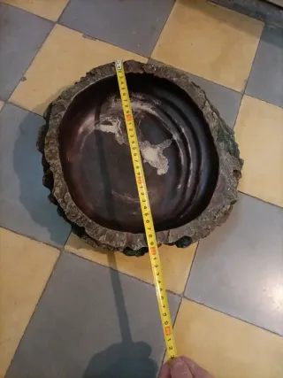 Comedero bañera reptiles y anfibios