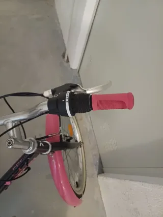 Bicicleta Niña 20 Rosa