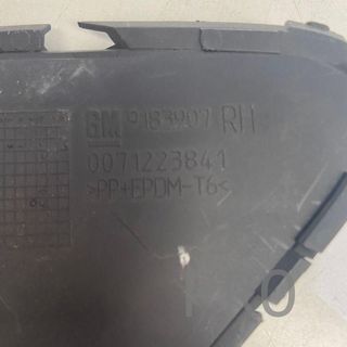 ORIGINAL TAPA ANTI NIEBLA 9183907