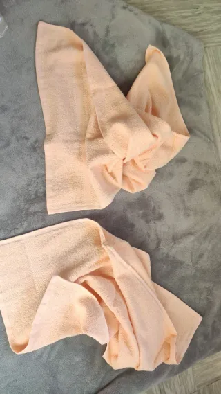 Coppia Asciugamani 100% Cotone