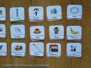Juego de lectura y asociación Palabra-Objeto