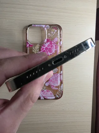 iPhone 13 Pro max 100% bat