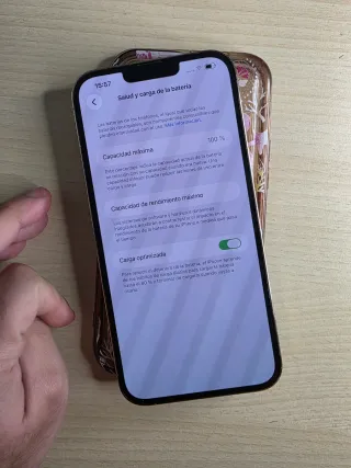 iPhone 13 Pro max 100% bat