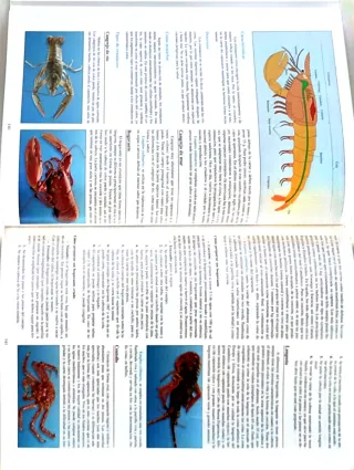 Libro Procesos de cocina. Libro del alumno