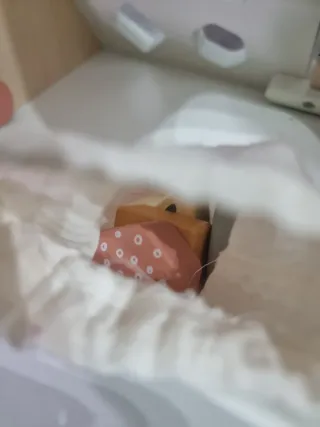 Andador completo rosa madera Vertbaudet bebés