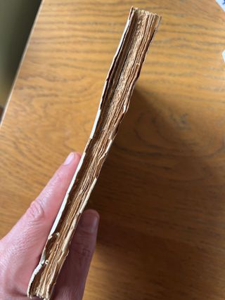 Ciencias Ocultas e Iniciados (Bauzá 1926)